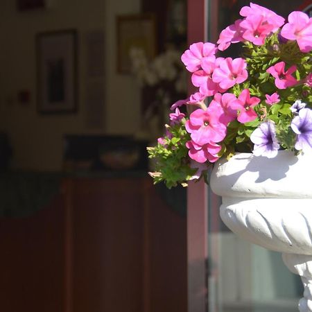 Hotel Bel Sogno Римини Экстерьер фото